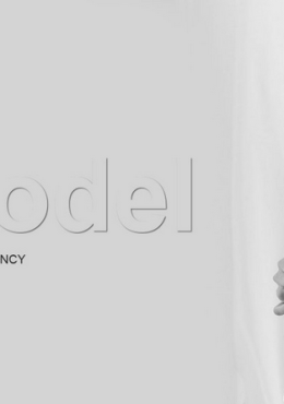Lux Model
