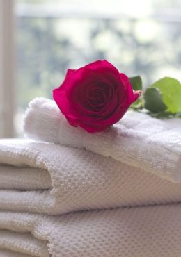 Rosa