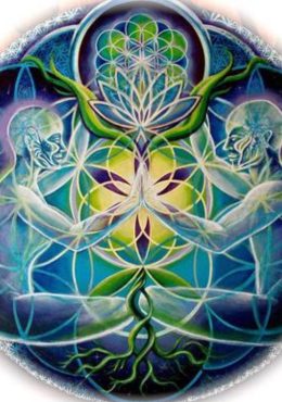 Sense ~ Tantra