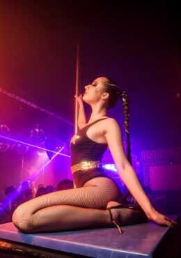 Party Bar Saxar