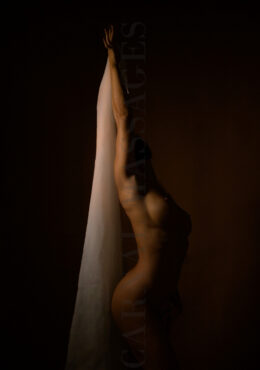 Carnal Massages