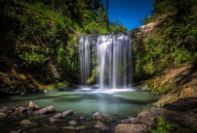 Auckland city guide.Oakley Creek Waterfall.02 Beautiful waterfall Oakley Creeks Falls in Te Auaunga