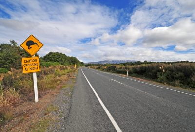 Auckland city guide.kiwi road sign.01 Road sign warning for crossing kiwis near Auckland