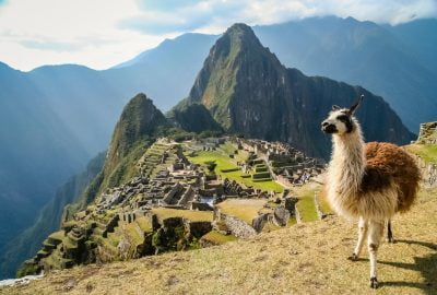 Lima city guide.Machu Picchu.01 View of Machu Picchu and llama to the backdrop of the Andes Mountains