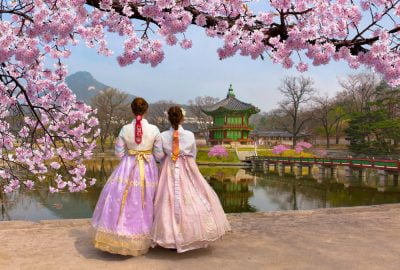 Seoul city guide.Gyeongbokgung Palace.02 Two women in traditional Korean dresses under a cherry blossom tree in the park around the Gyeongbokgung Palace in Seoul